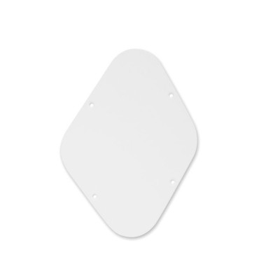 Boston P-102-W Backplate...