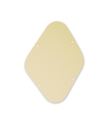 Boston P-102-IV Backplate...