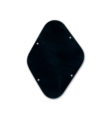 Boston P-102-B Backplate...