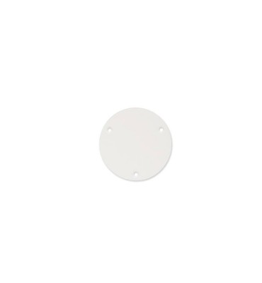 Boston P-101-W Backplate...