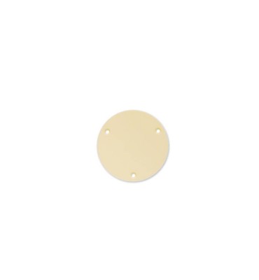 Boston P-101-IV Backplate...