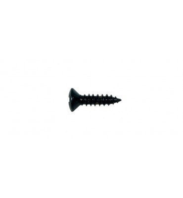 Boston TS-01-B Viti autofilettanti per battipenna chitarra 3x12mm - 12pezzi