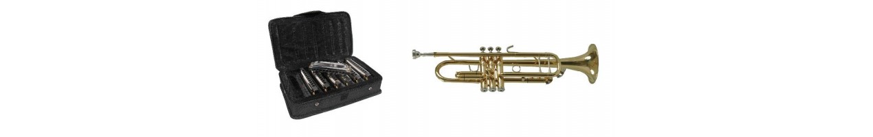 Strumenti Musicali a Fiato