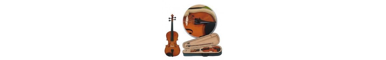 Strumenti Musicali ad Arco