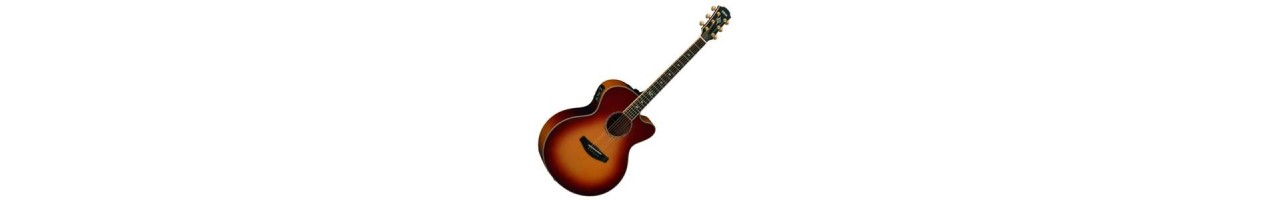 Acustica Elettrificata