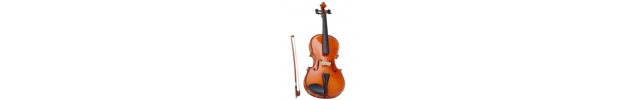 Violini